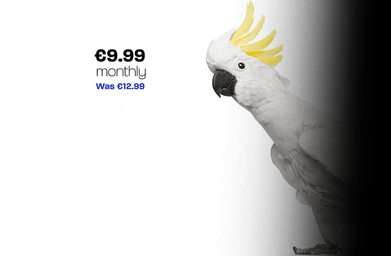 Clear Mobile SIM - Black Friday SIM card by Clear Mobile