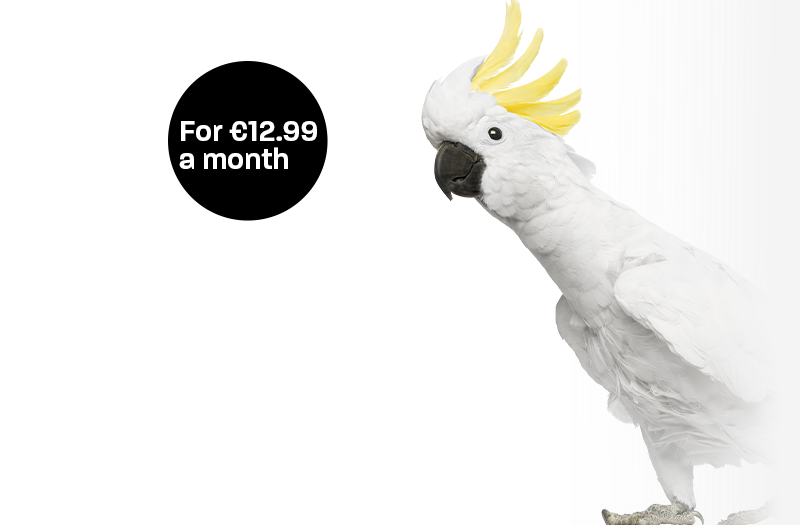 Clear Mobile SIM SIM card by Clear Mobile